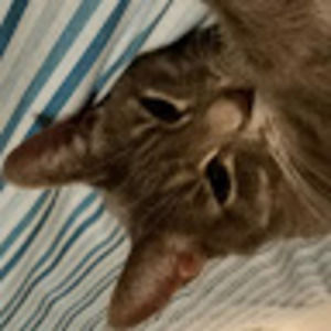 Meet your Posher, Jillian